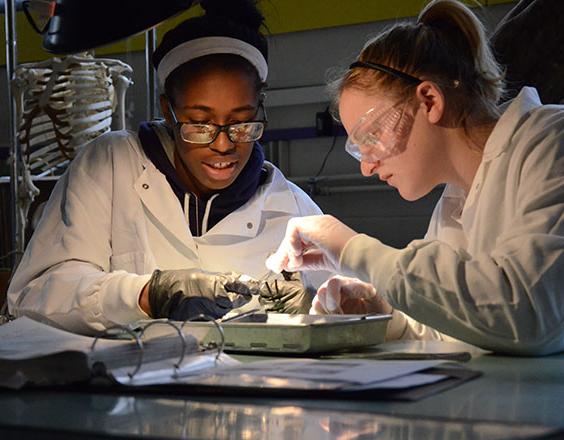 Two female students in the biology dissection lab